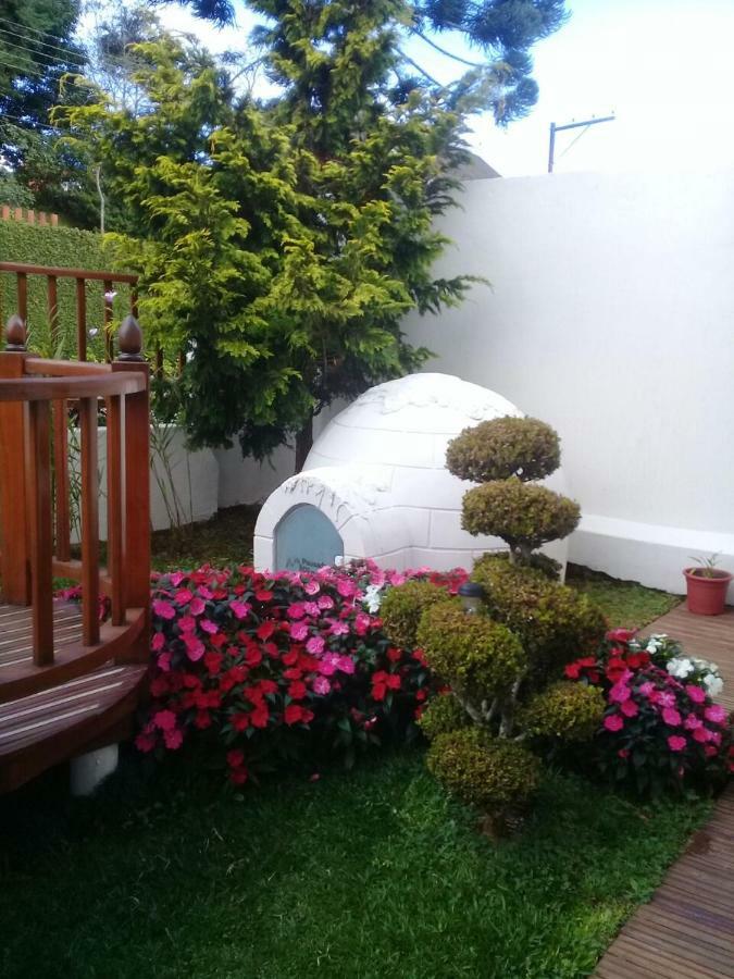 Guest house Dos Pinguins